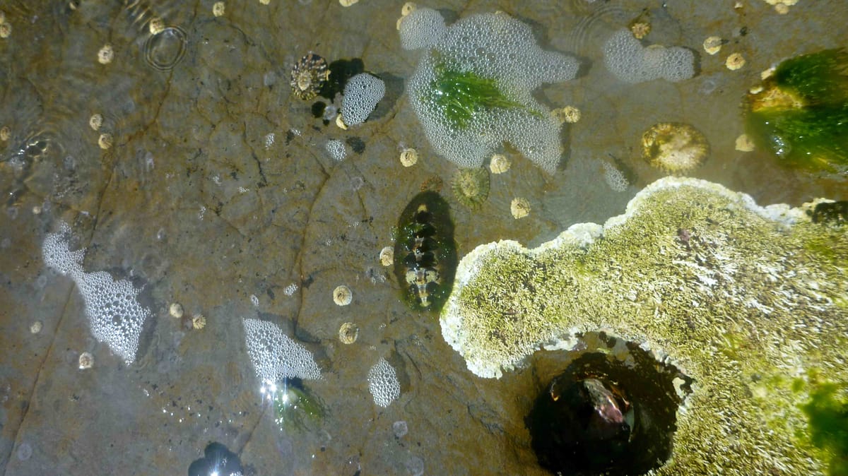 Make Your Password a Mantra for the Year Ahead